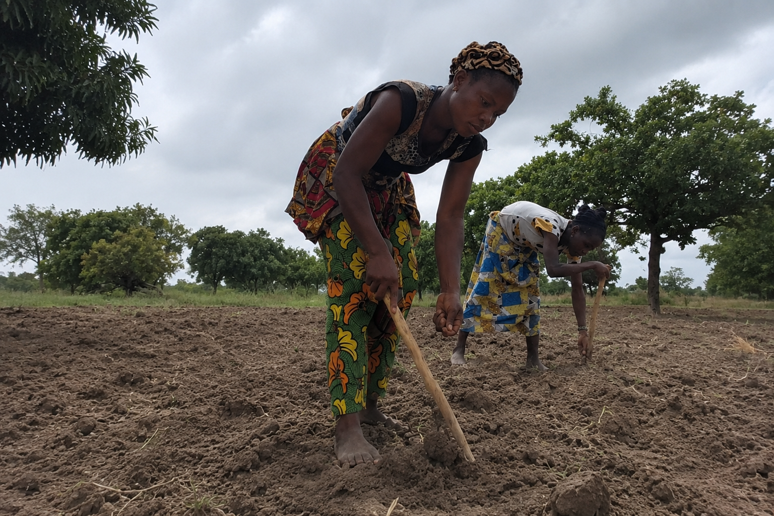 Why Now / Farming — degraded, cracked, lifeless soil washing off the field.